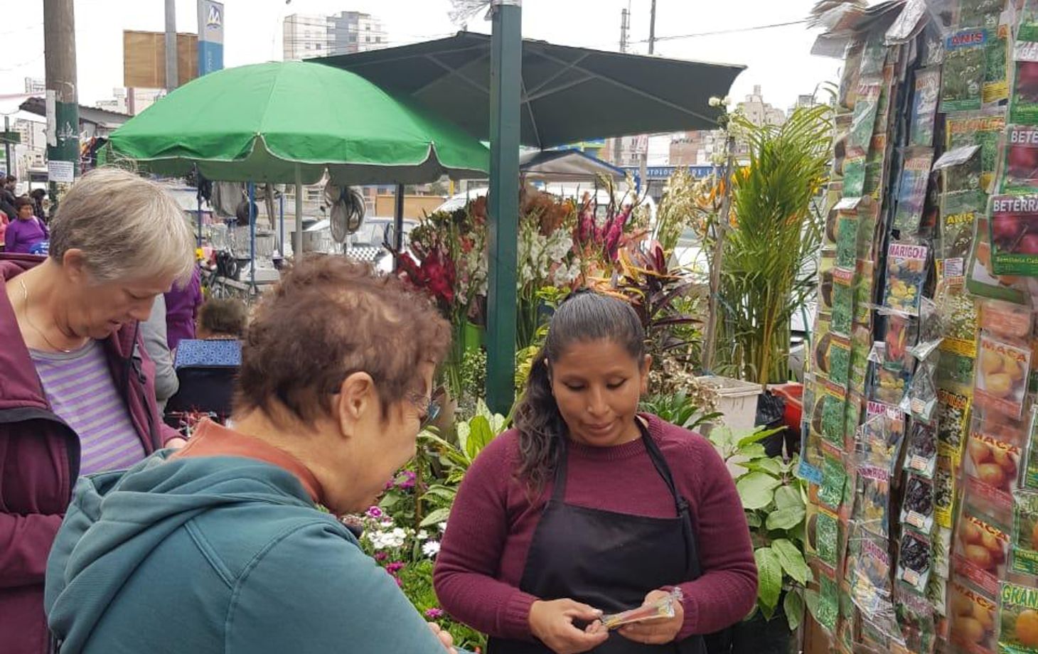 Lima Mentor