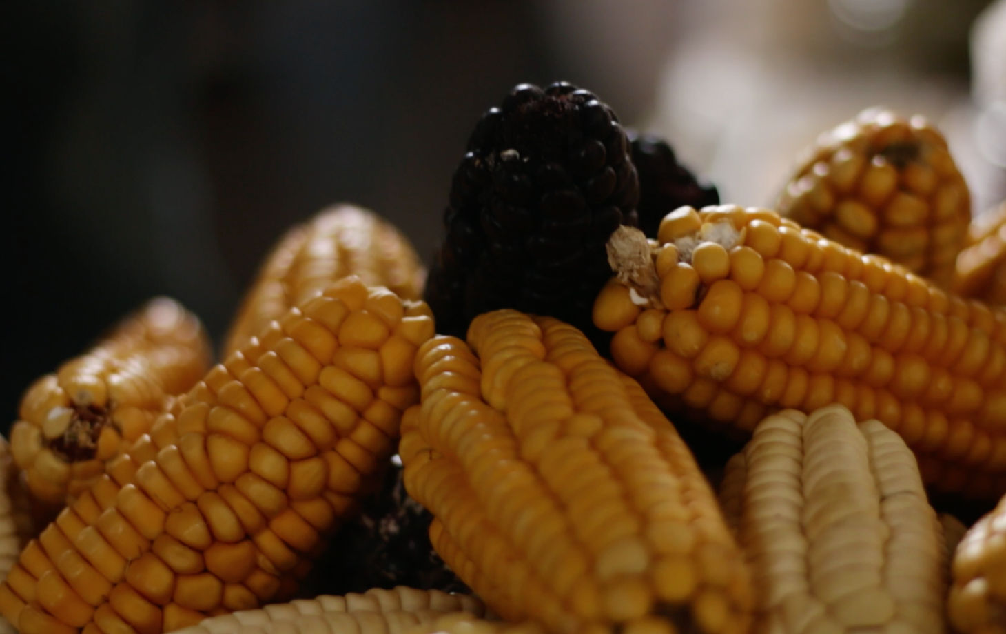 Gourmet Cooking Lessons in Cusco with Market Tour (Group Class)