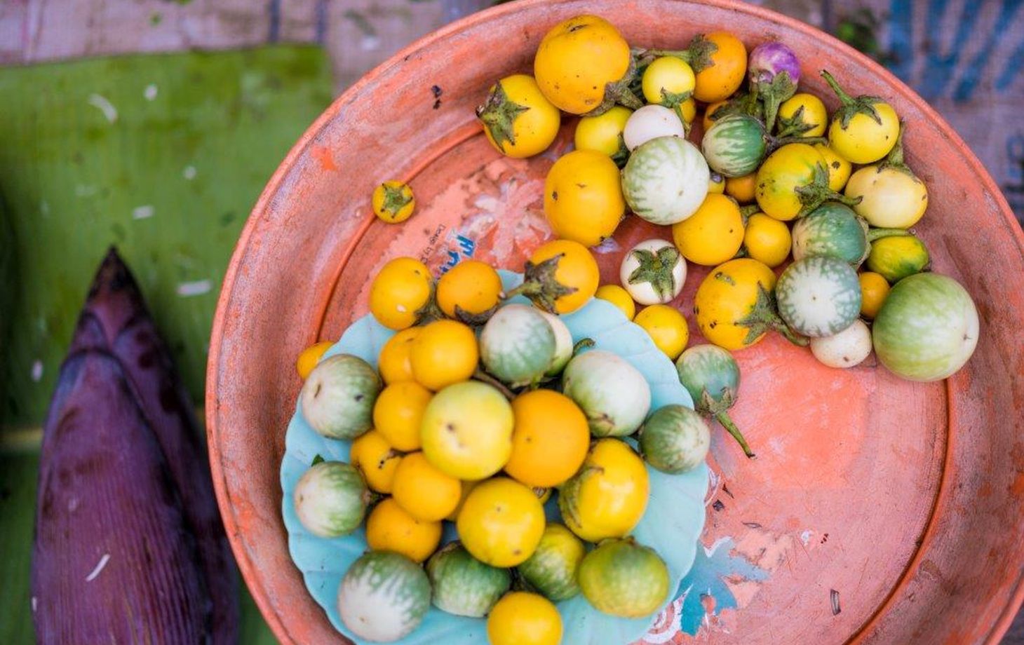 Spice Spoons |  A Thai Culinary Journey in Chiang Rai