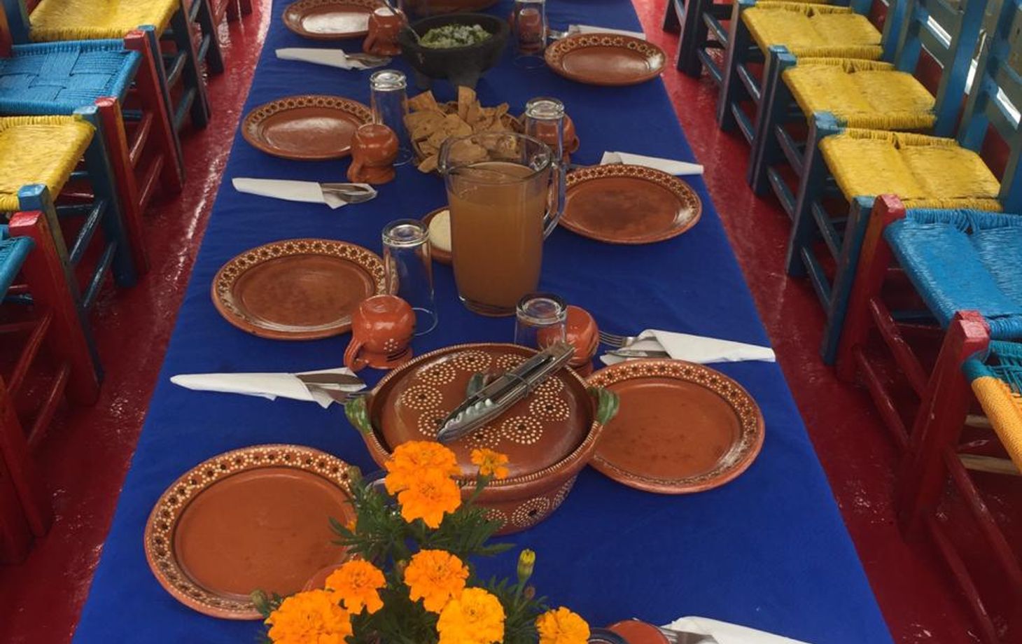 Learn about Chinampas with a Gastronomic Tour Along the Canals of Xochimilco (price for up to 9 people)