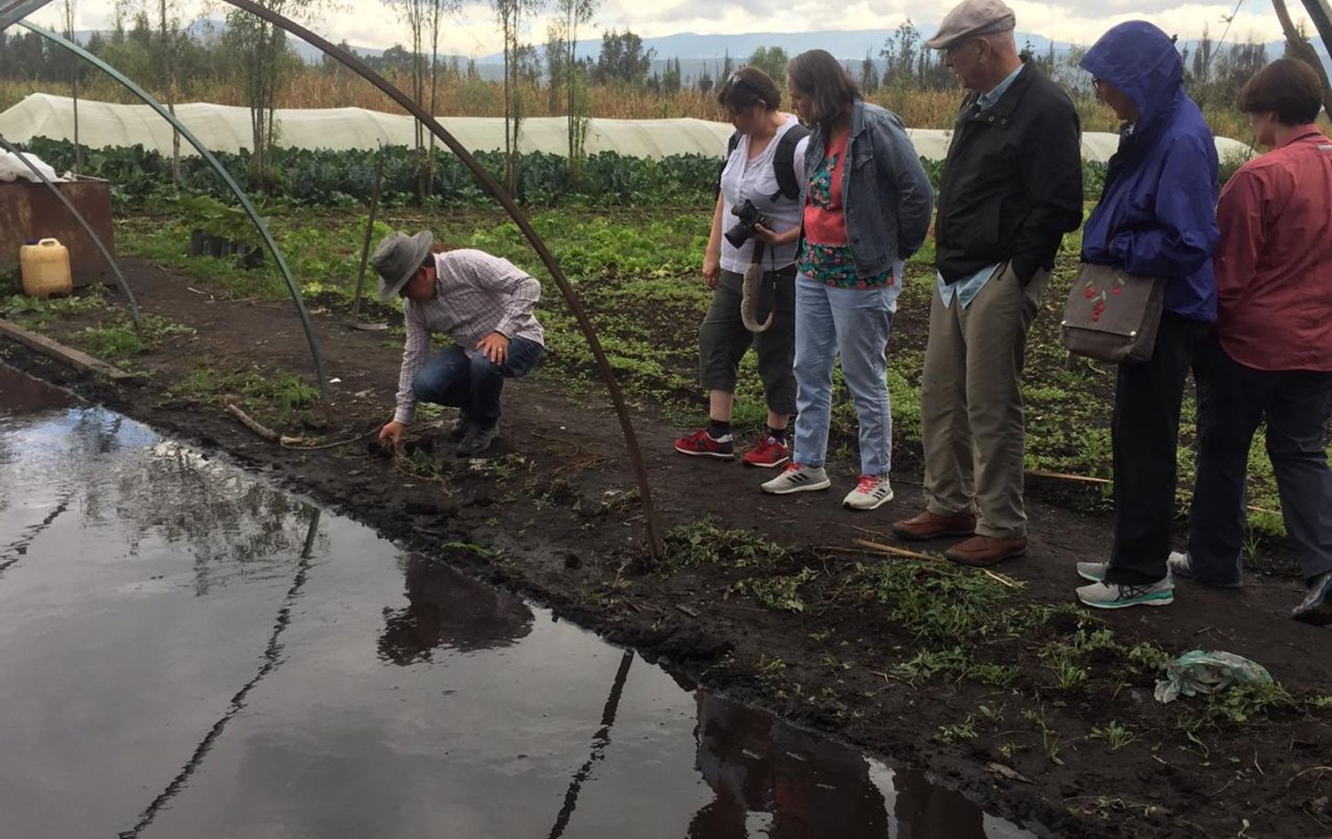 Learn about Chinampas with a Gastronomic Tour Along the Canals of Xochimilco (price for up to 9 people)