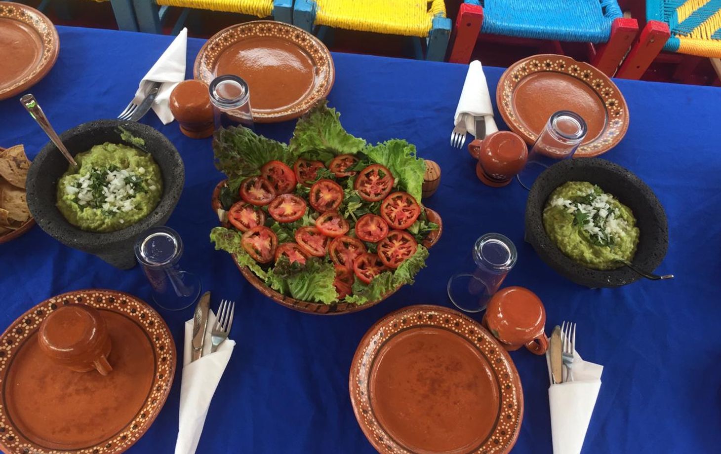 Learn about Chinampas with a Gastronomic Tour Along the Canals of Xochimilco (price for up to 9 people)