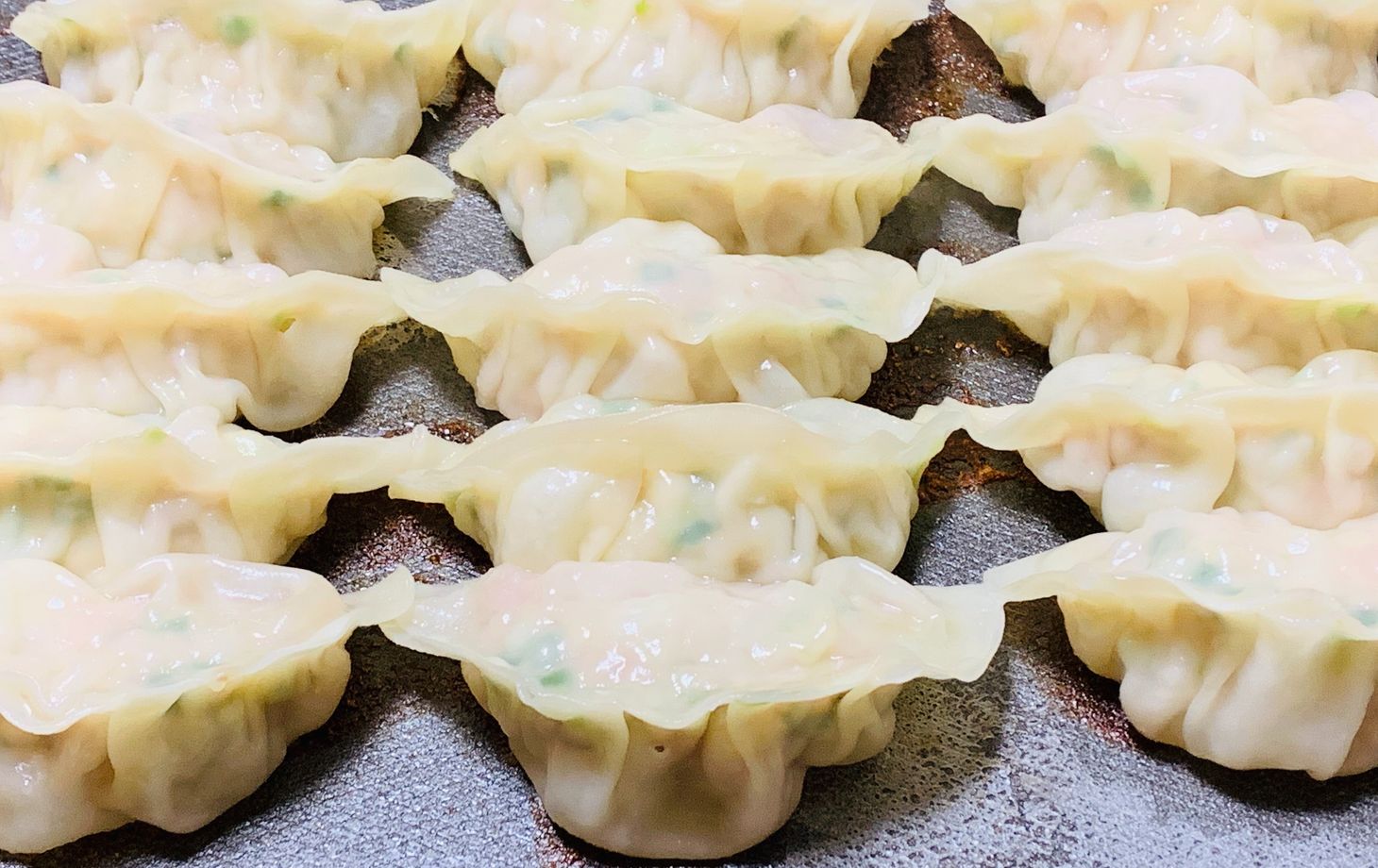 The Art of Making Homemade Japanese Gyoza Class in Nagoya