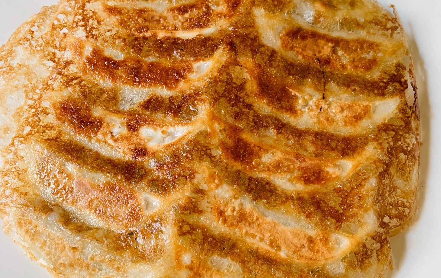 The Art of Making Homemade Japanese Gyoza Class in Nagoya