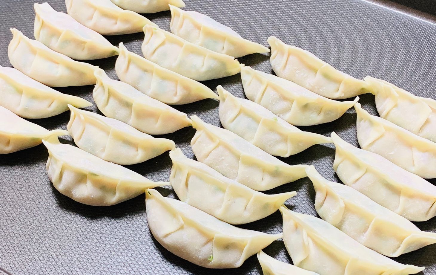The Art of Making Homemade Japanese Gyoza Class in Nagoya