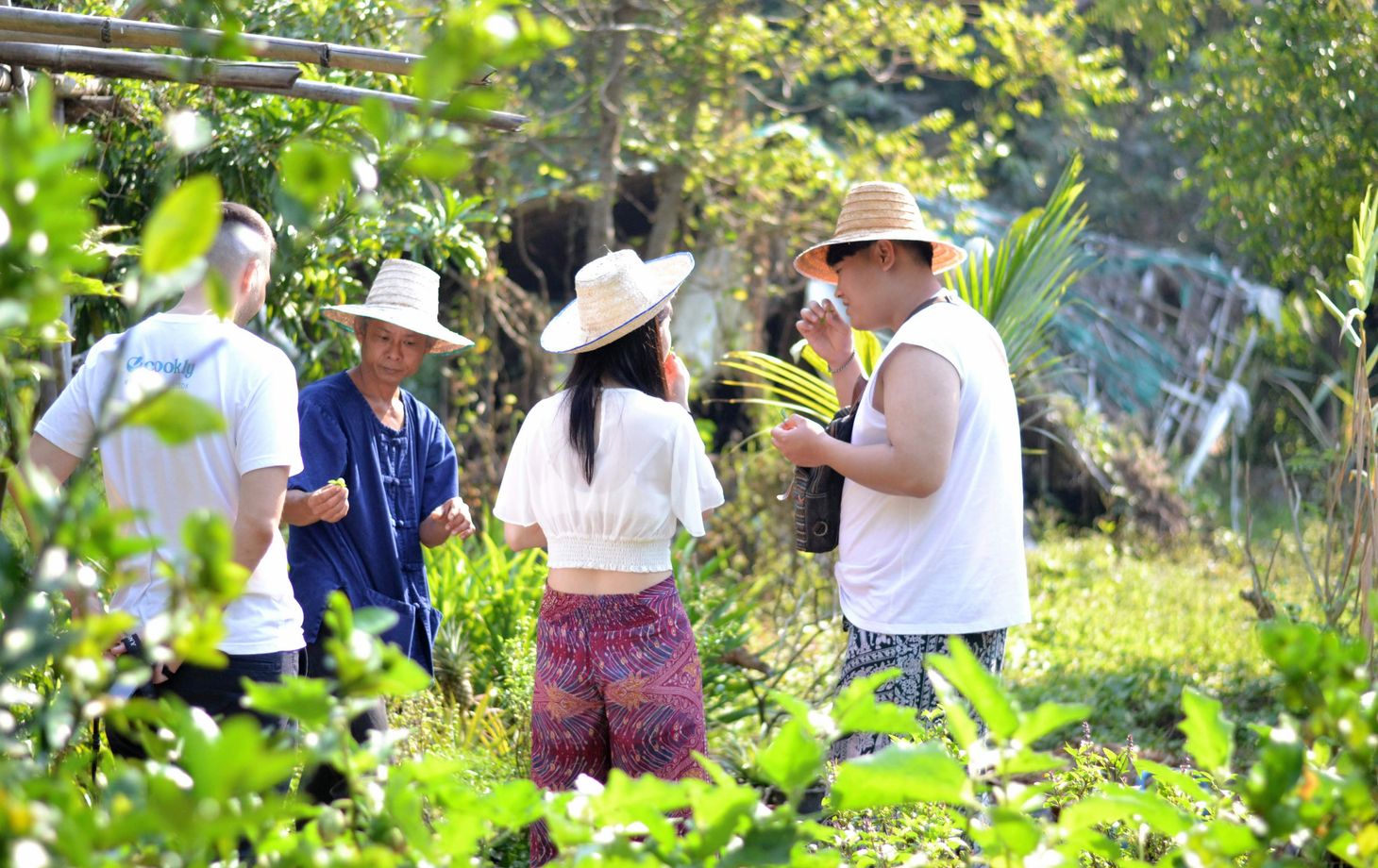 Da's Organic Farm Hut Thai Cooking school