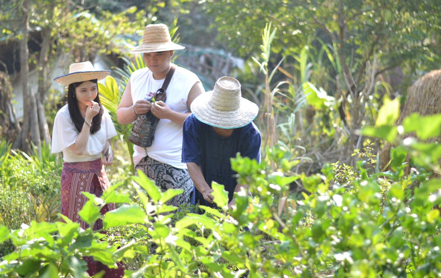 다아저씨와 즐기는 시장투어와 유기농 재료를 이용한 요리(Da's Organic Farm Hut Thai Cooking school)
