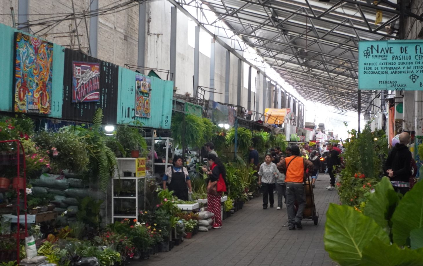 Market to Table: Mexican Cooking & Culture Experience
