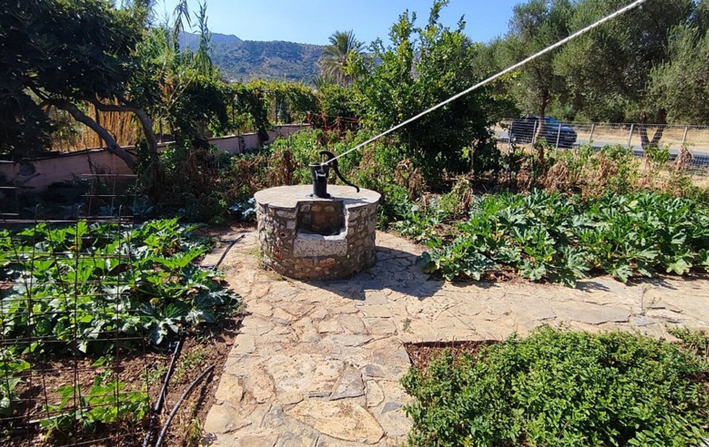 Hands-On Traditional Cretan Cooking Experience in Kritsa