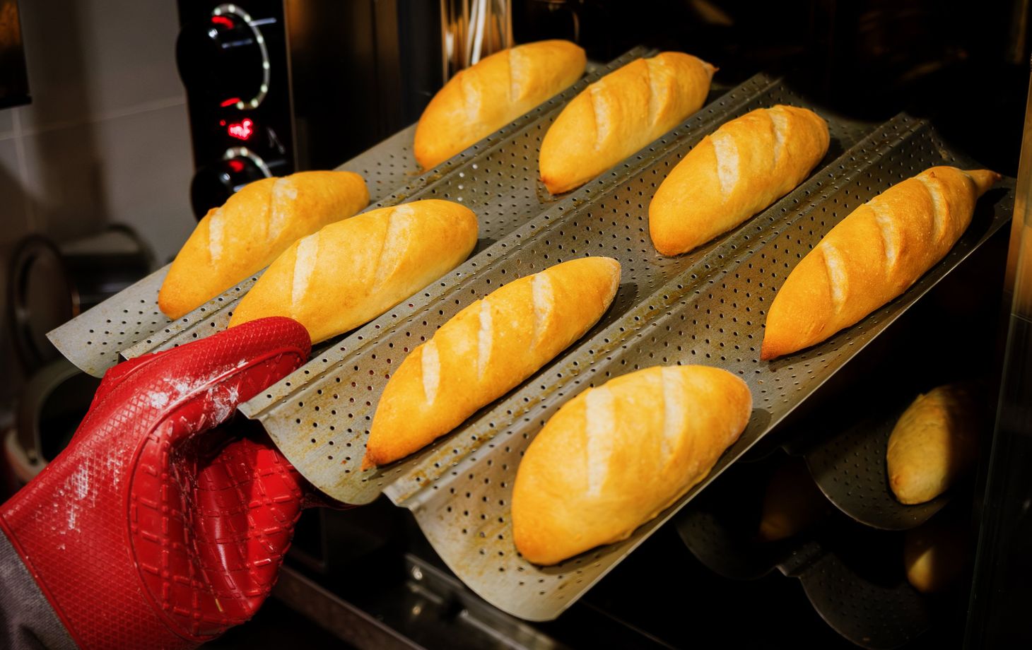 Hanoi Bánh Mì & Coffee Experience: A Taste of French Culinary Heritage