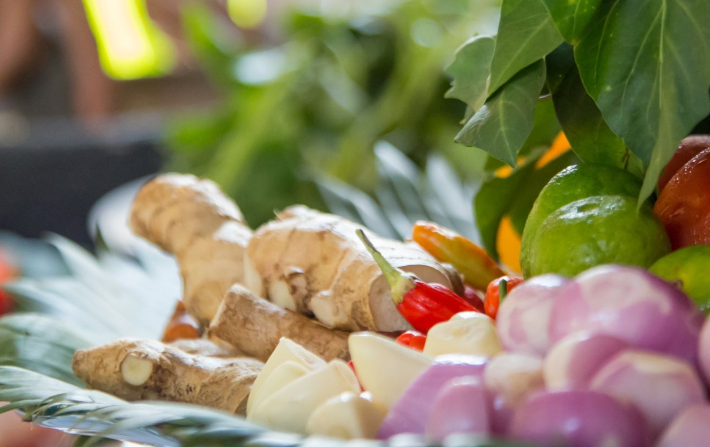 Private Cooking Class with Garden and Market Tour in a Tranquil Resort