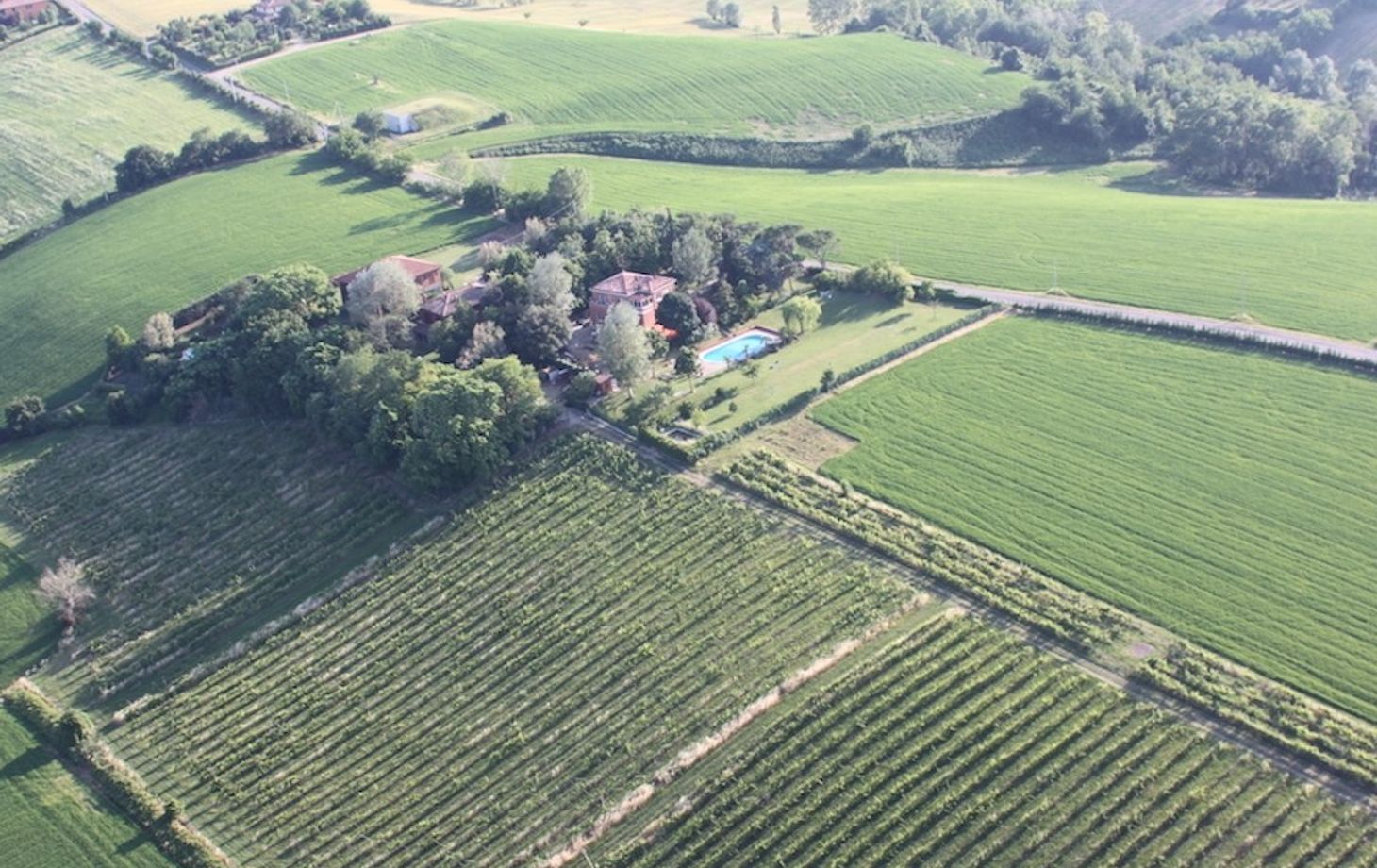 Heritage of the Hunting Lodge: Wild Boar Cuisine Experience at Villa degli Olmi