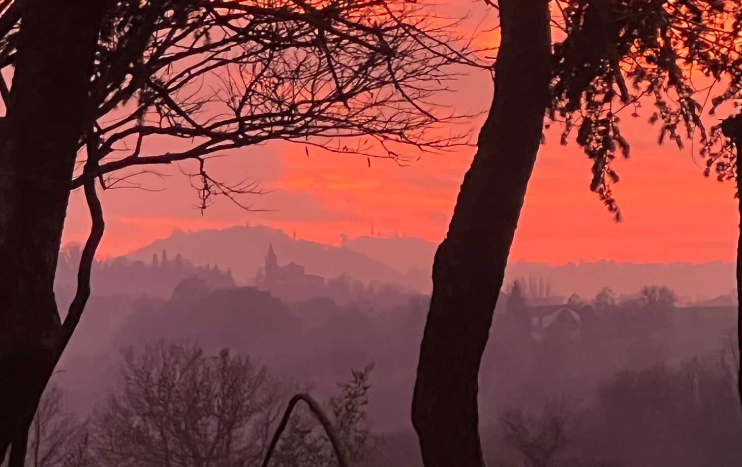 Heritage of the Hunting Lodge: Wild Boar Cuisine Experience at Villa degli Olmi