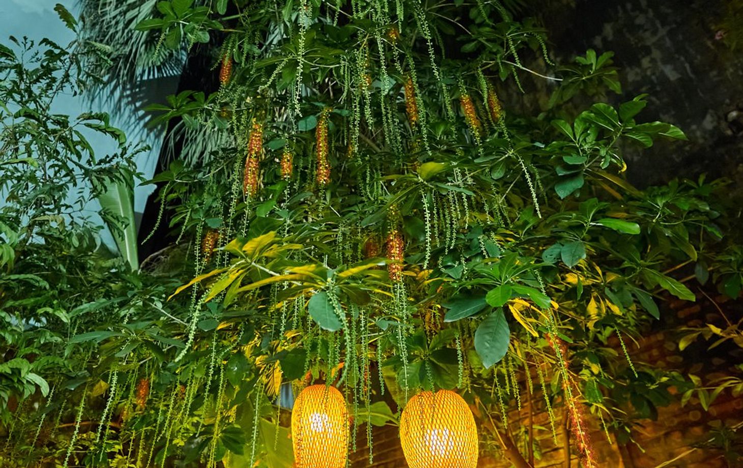 Cuisinez Nem Rán et Bún Chả à Hanoi Garden Villa et café aux œufs gratuit