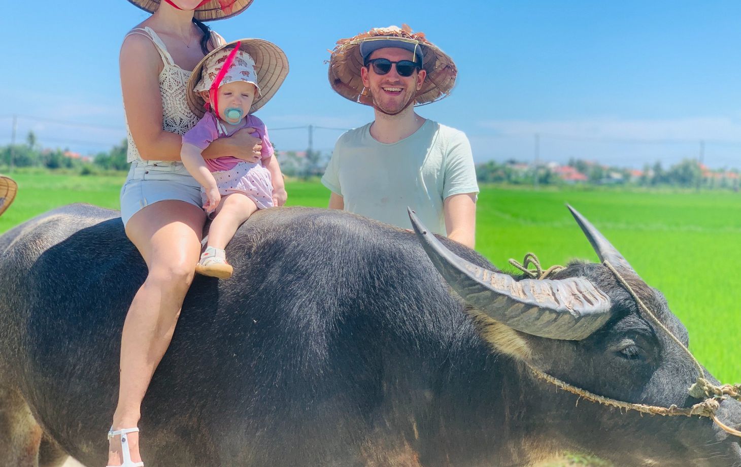 Hoi An Countryside Bike, Riding Buffalo and Basket Boat with Meal