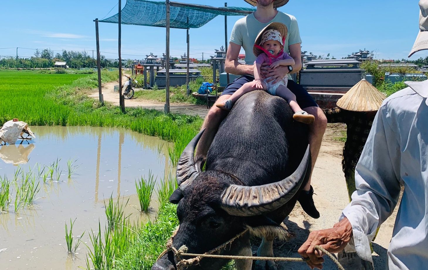 Hoi An Countryside Bike, Riding Buffalo and Basket Boat with Meal