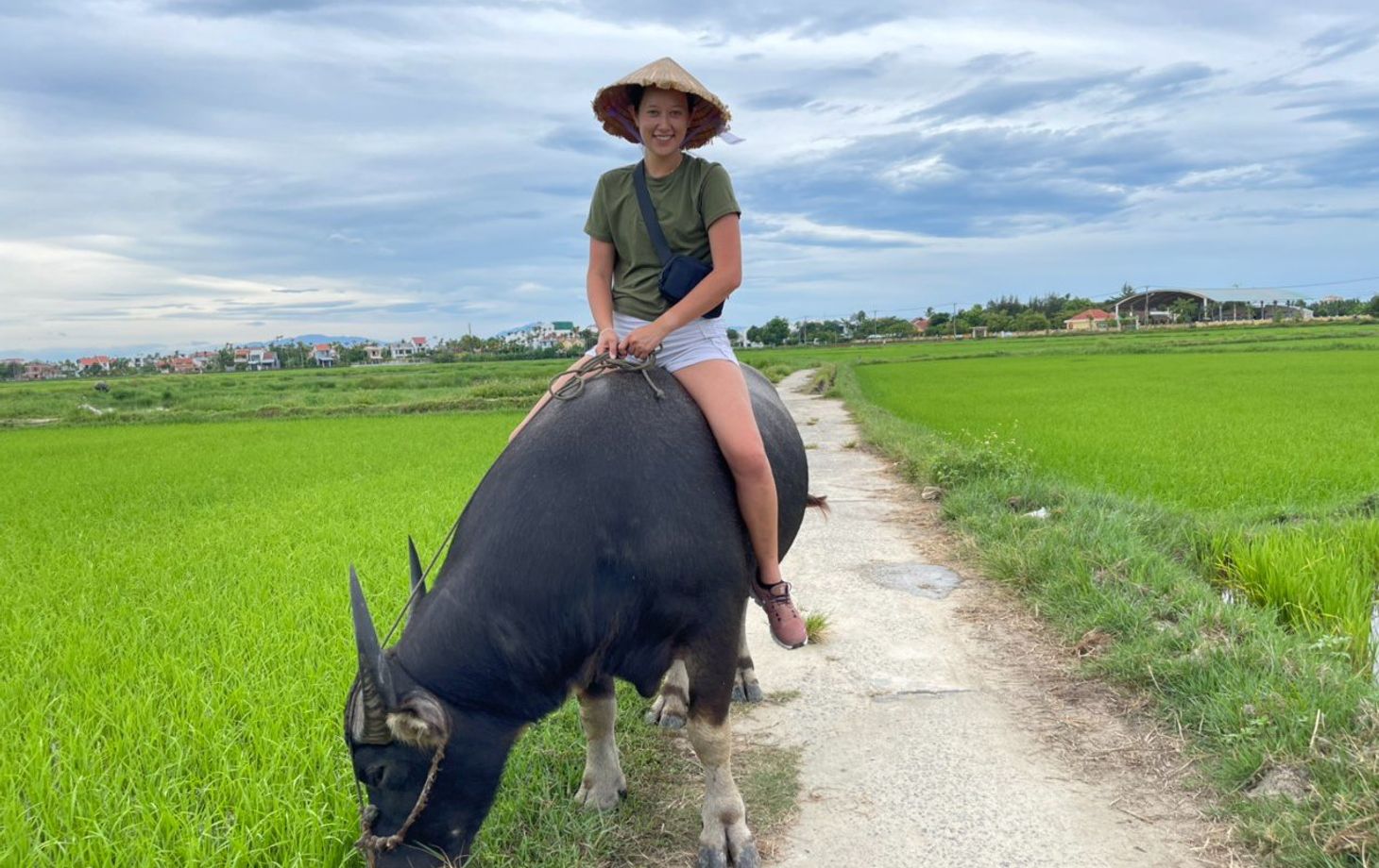 Hoi An Countryside Bike, Riding Buffalo and Basket Boat with Meal