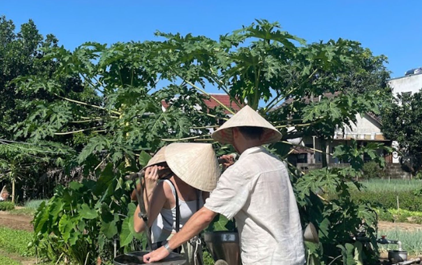 Family-Run Vietnamese Cooking Experience in Tra Que Village