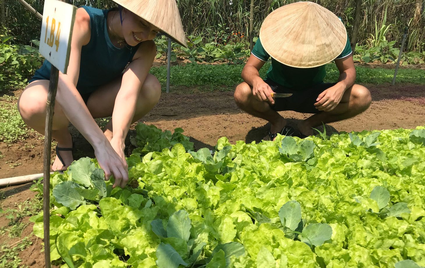 Experience Rural Life and Cooking at Organic Farm in Hoi An