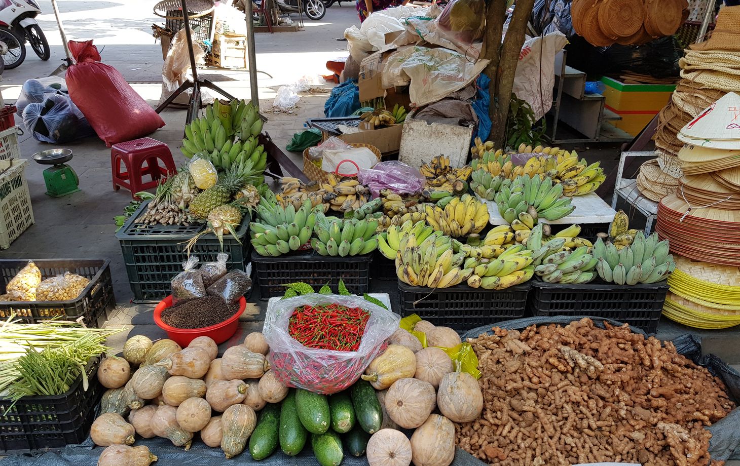 Vietnamese Home Cooking Expert with Market Tour and Boat Trip to Hoai River