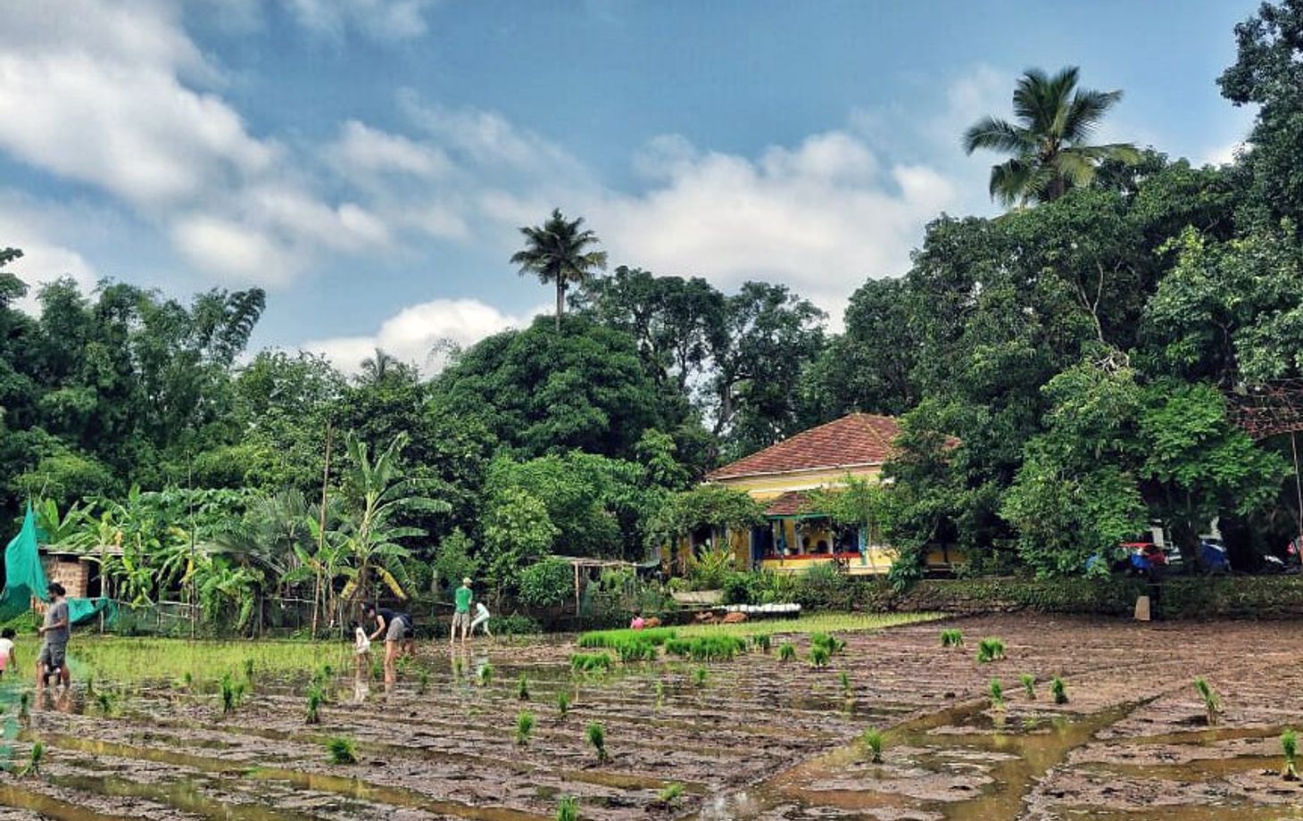Homestyle Cooking at an Organic Rice Farm in Goa