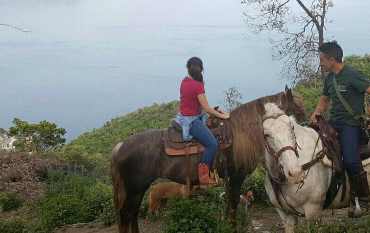 Horseback Riding Tour + Pasta Making Class on the Amalfi Coast
