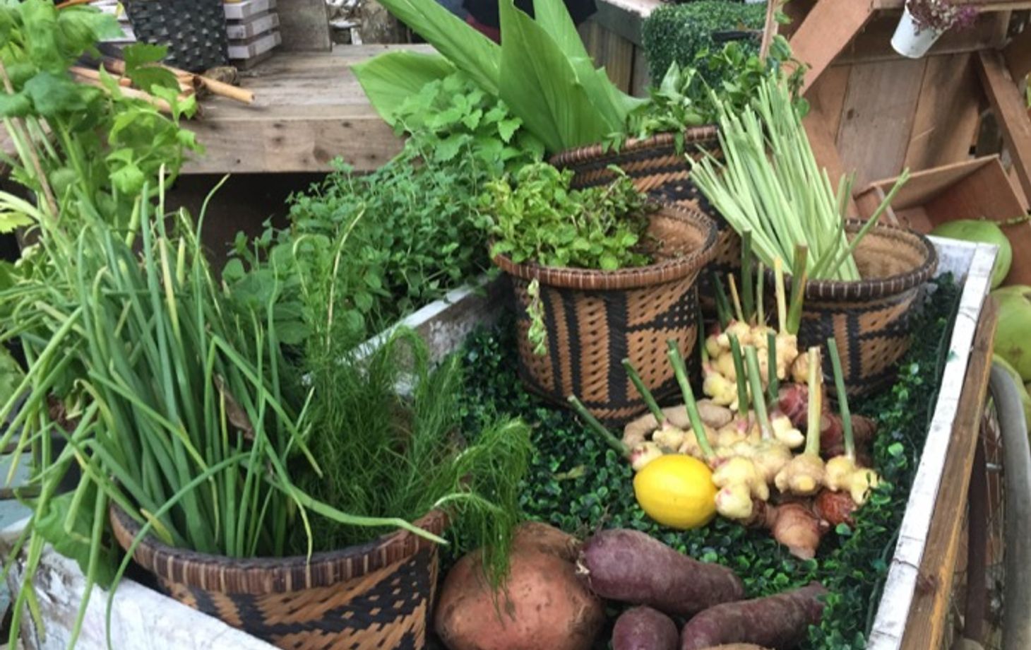 Indigenous Home Cooking Class at Farmstay with Market Tour