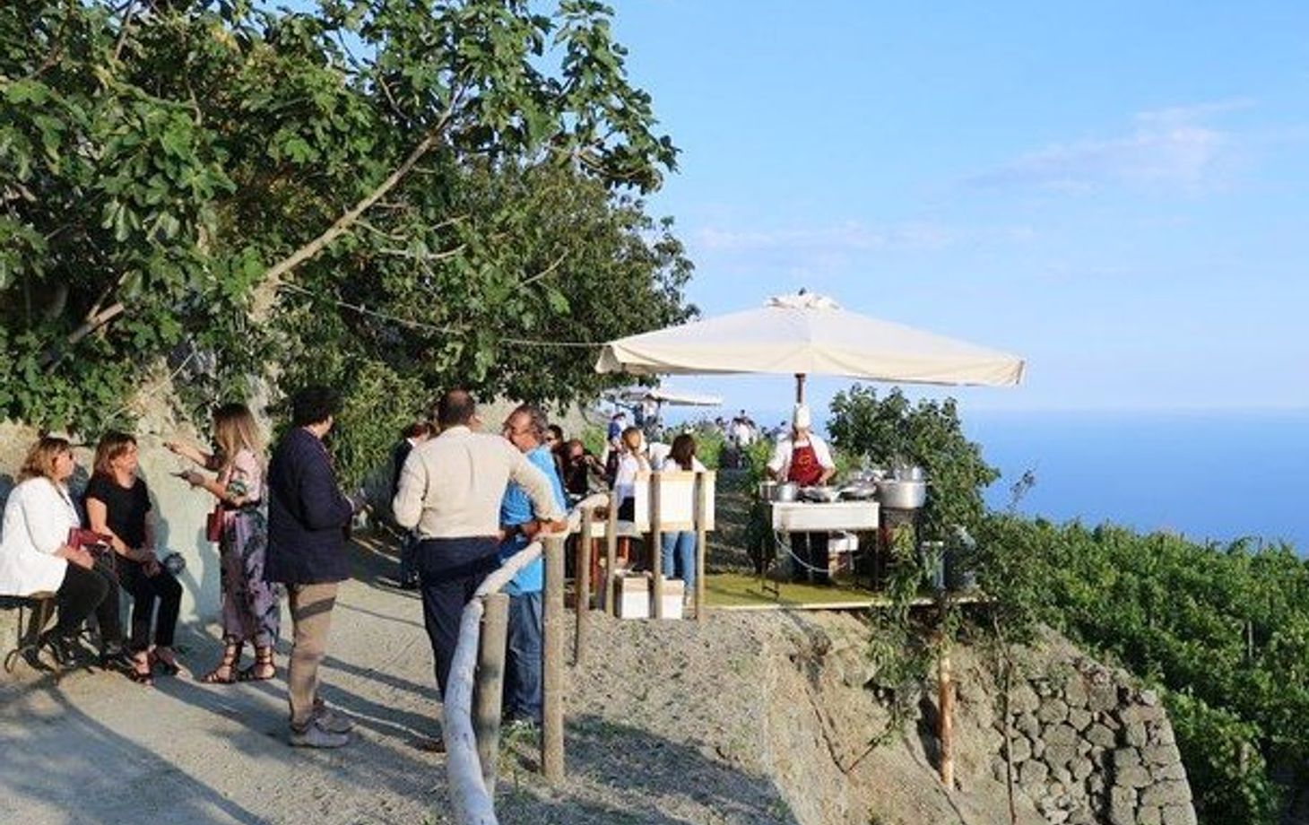 Vineyard Tour and Wine Tasting Experience in Ischia