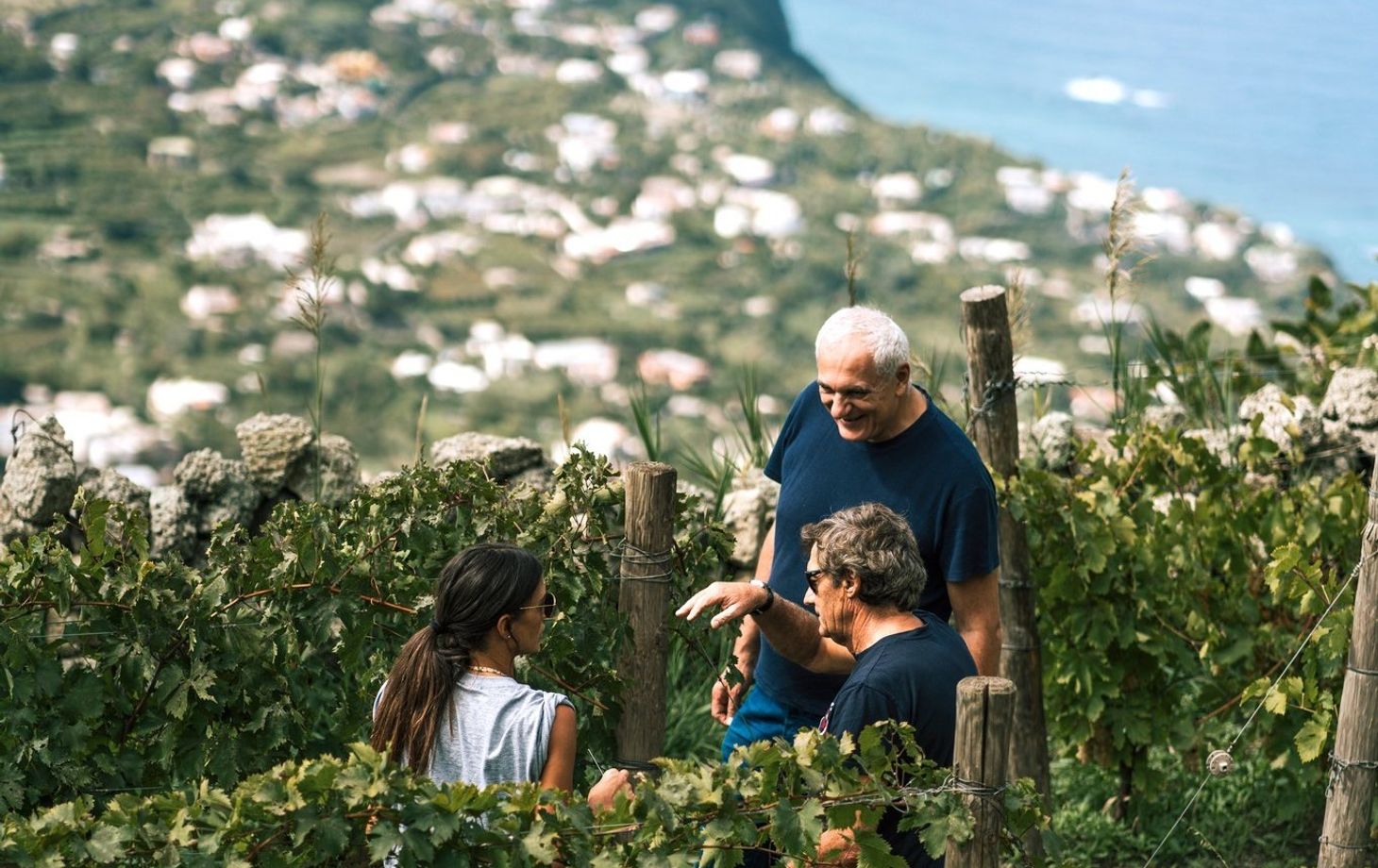 Vineyard Tour and Wine Tasting Experience in Ischia