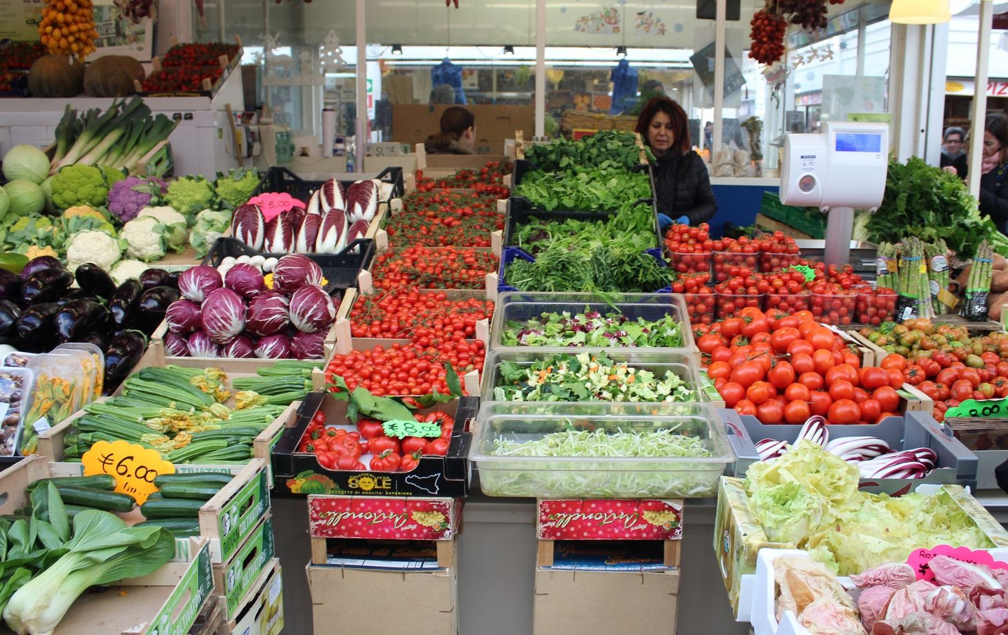 Discover Rome and its Flavours by Bike