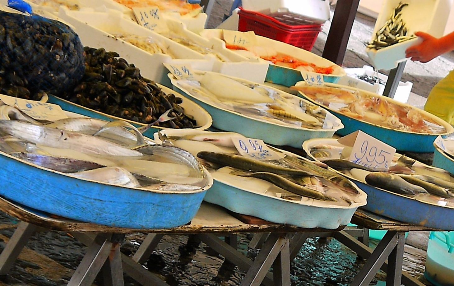 Italian Home Cooking Class - The Mediterranean Sea Fruits