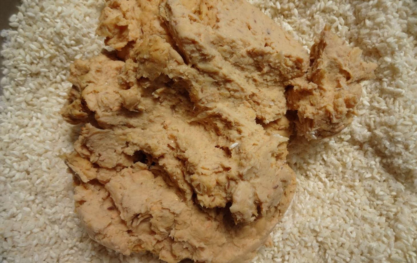 Traditional Japanese Miso Making and Vegan Dinner with Miso Souvenir