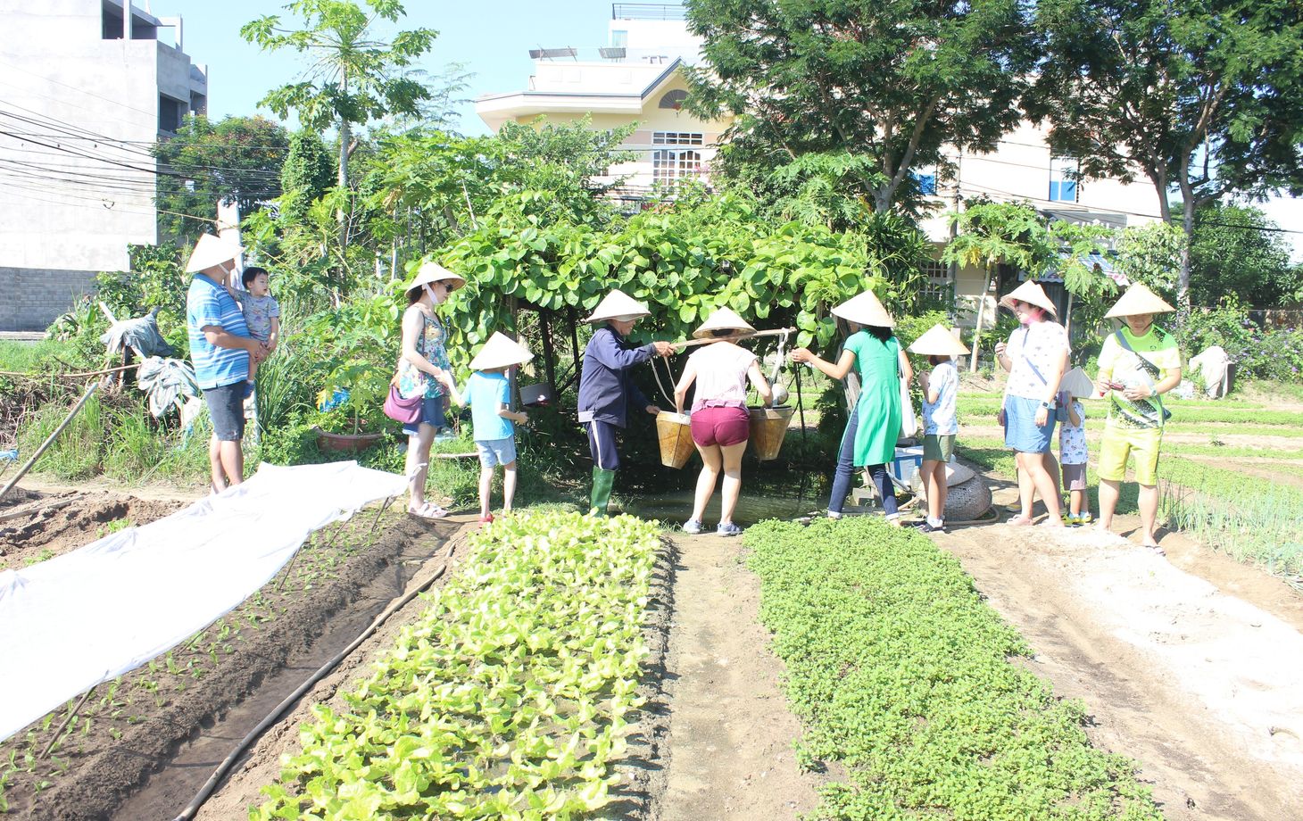 Jolie Da Nang Cooking Class with Organic Garden and Market Tour