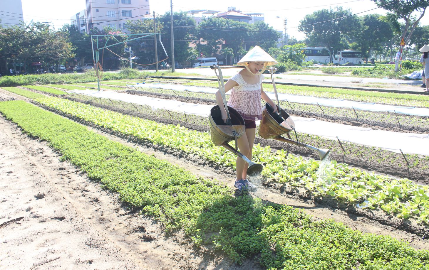Jolie Da Nang Cooking Class with Organic Garden and Market Tour