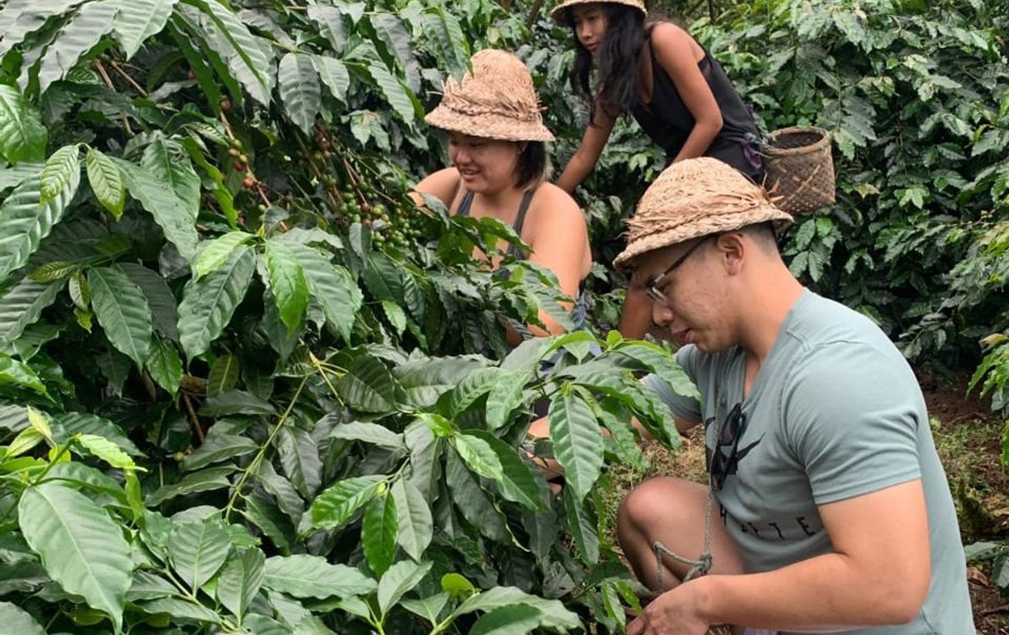 Balinese Coffee Brewing and Farm Tour with Lunch