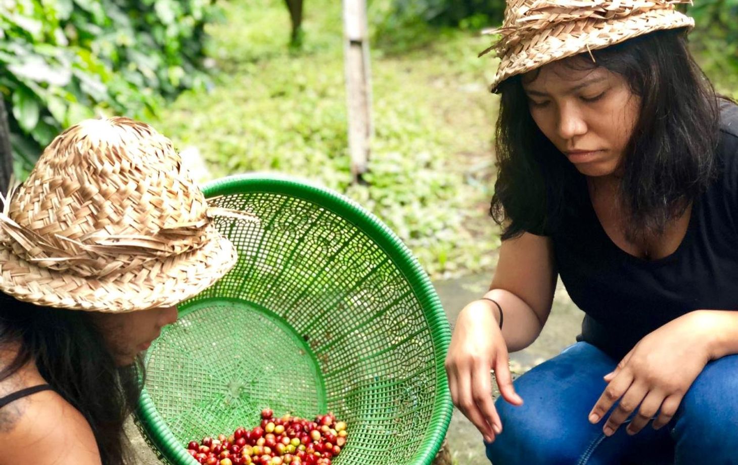 Balinese Coffee Brewing and Farm Tour with Lunch