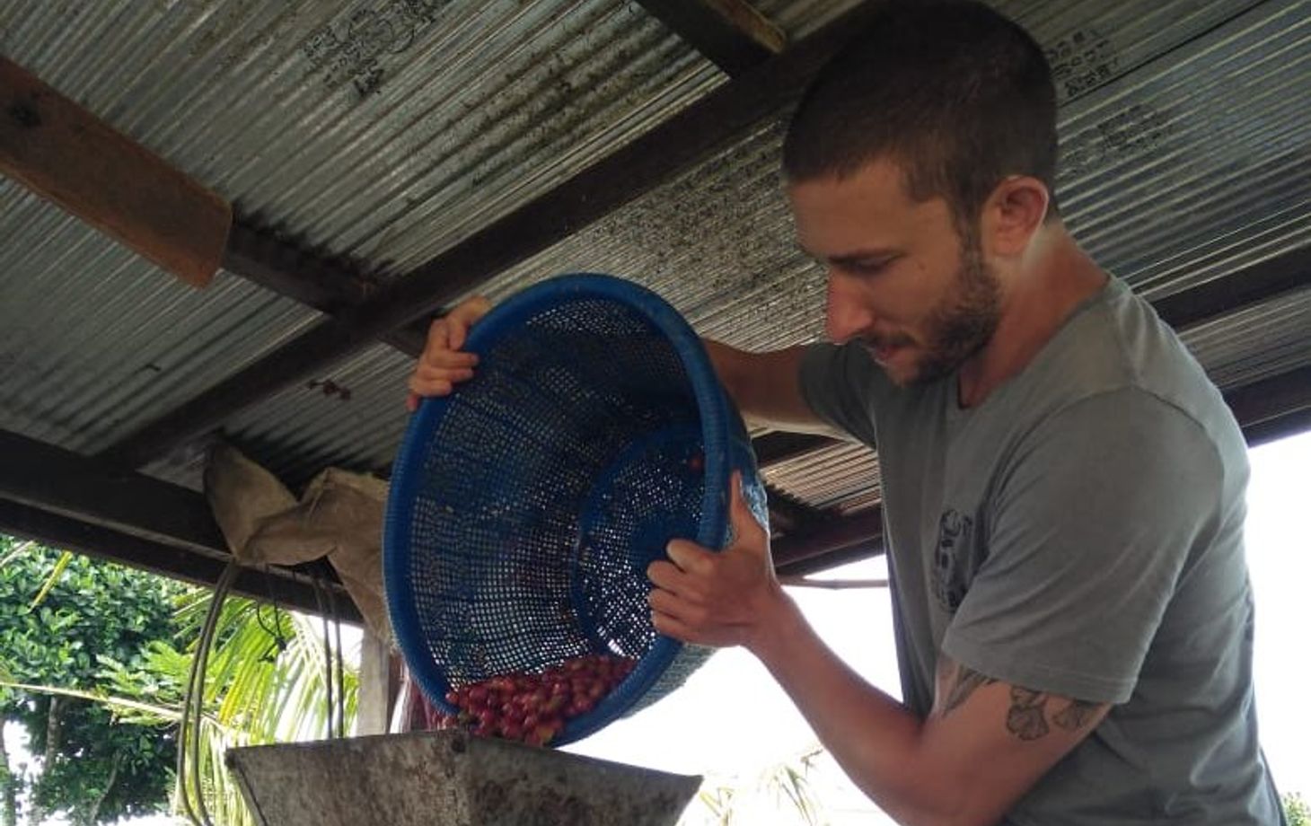 Balinese Coffee Brewing and Farm Tour with Lunch