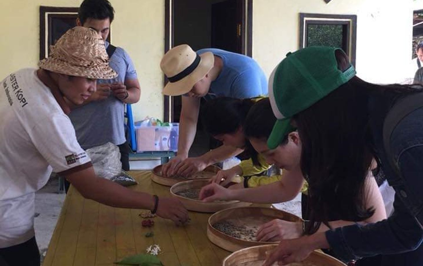Journey of Bali Coffee