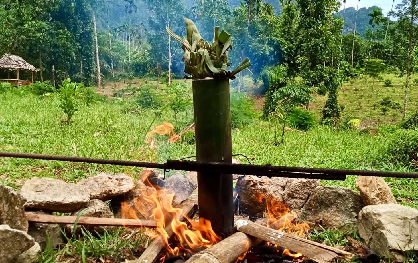 Khao Sok Jungle Cooking