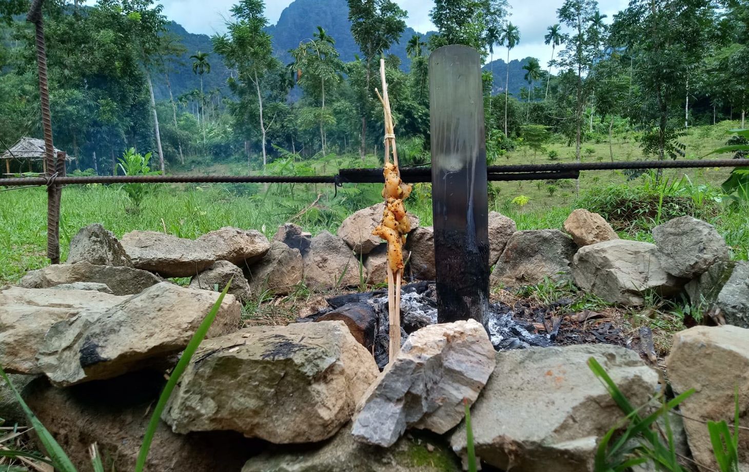 Khao Sok Jungle Cooking