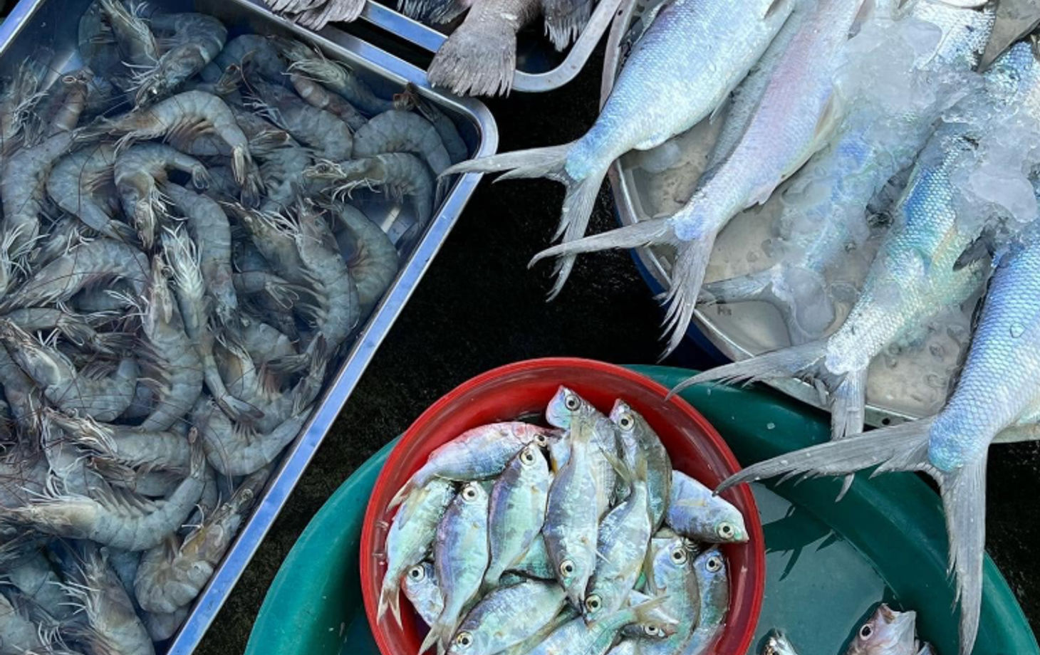 Traditionelles thailändisches Kocherlebnis auf Koh Samui mit lokalen Köchen