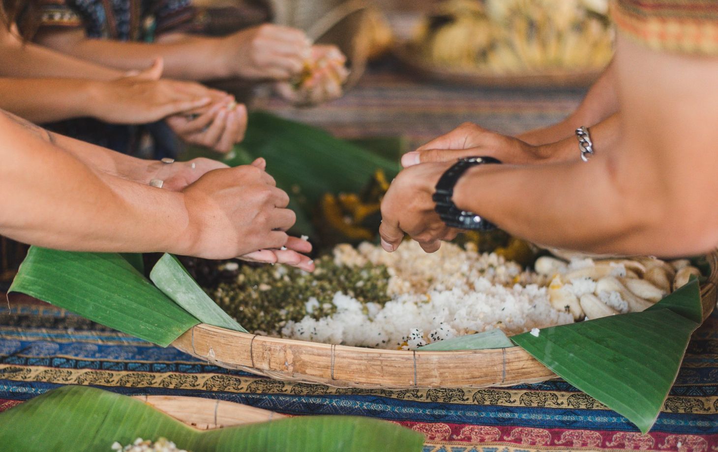Learn How to Cook Supplementary Food for the Elephants
