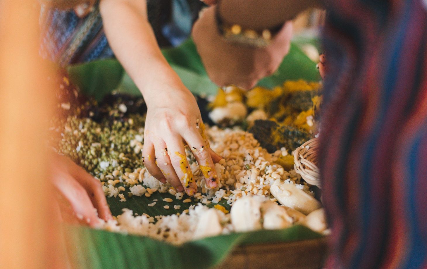 Learn How to Cook Supplementary Food for the Elephants