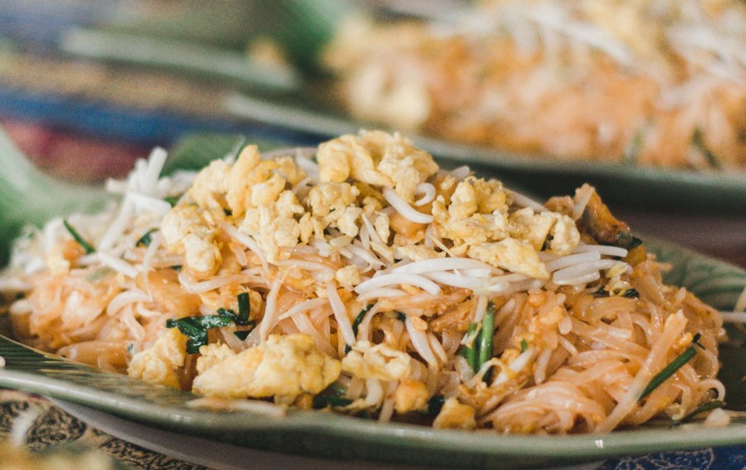 Learn How to Cook Traditional Thai Food & Feed the Elephants