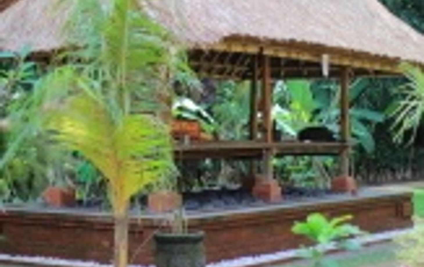 Bali Rural Life