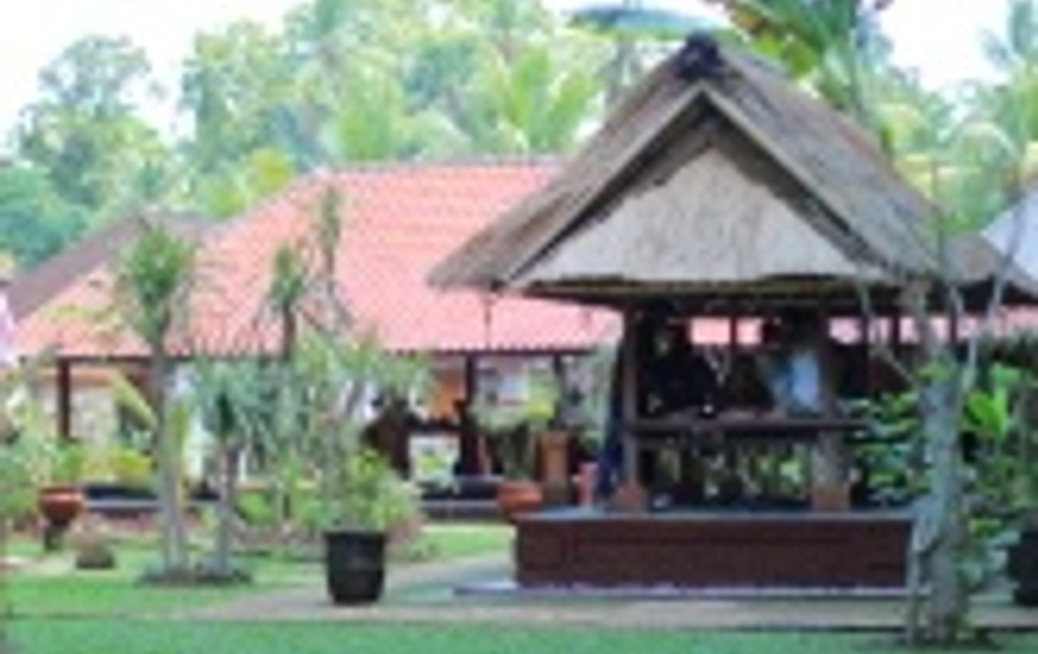 Bali Rural Life
