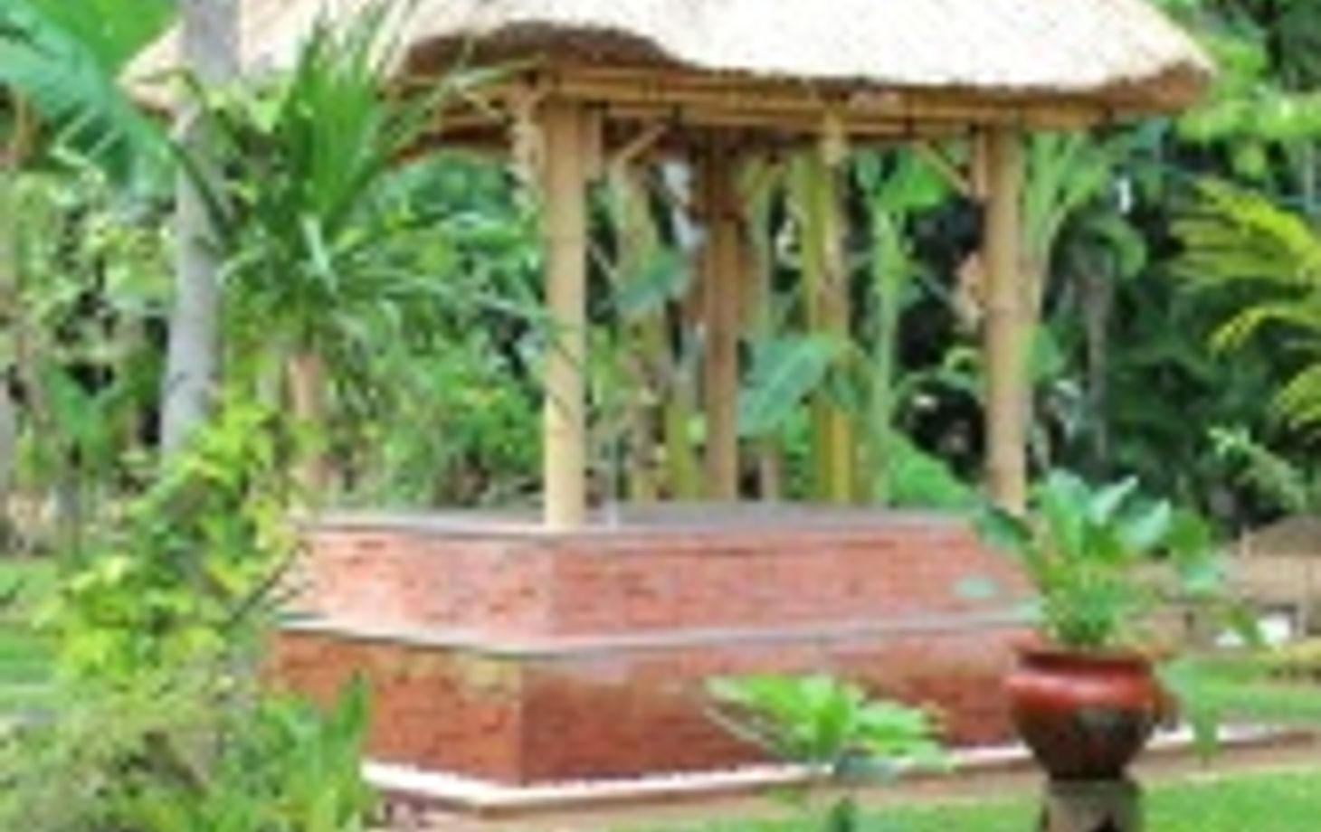 Bali Rural Life