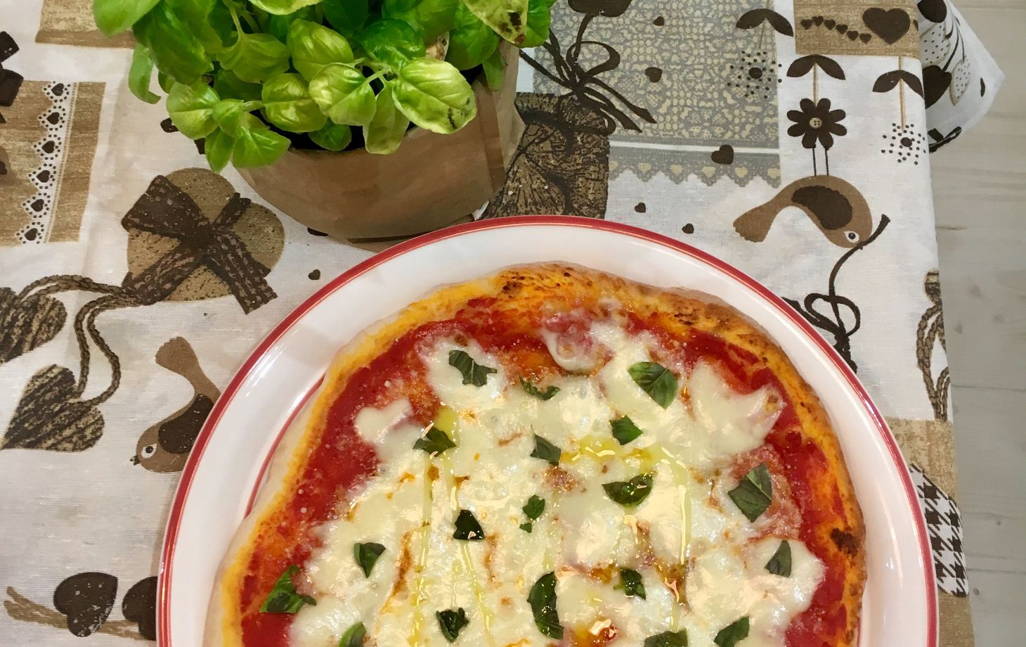 Let's Cook Together a Traditional Italian Meal in Turin