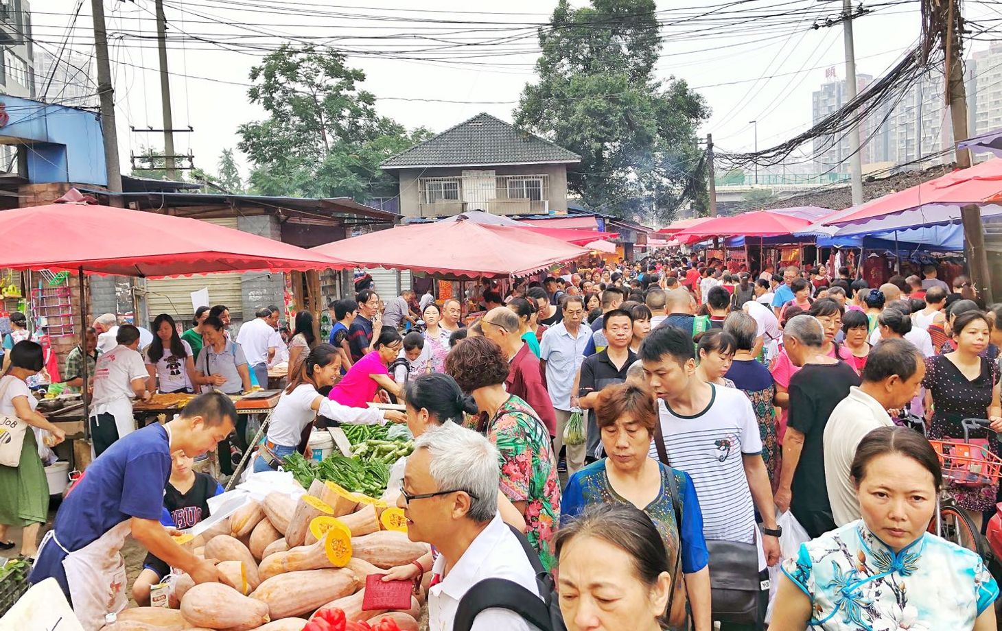 Escape to The Farm Market with Local Food