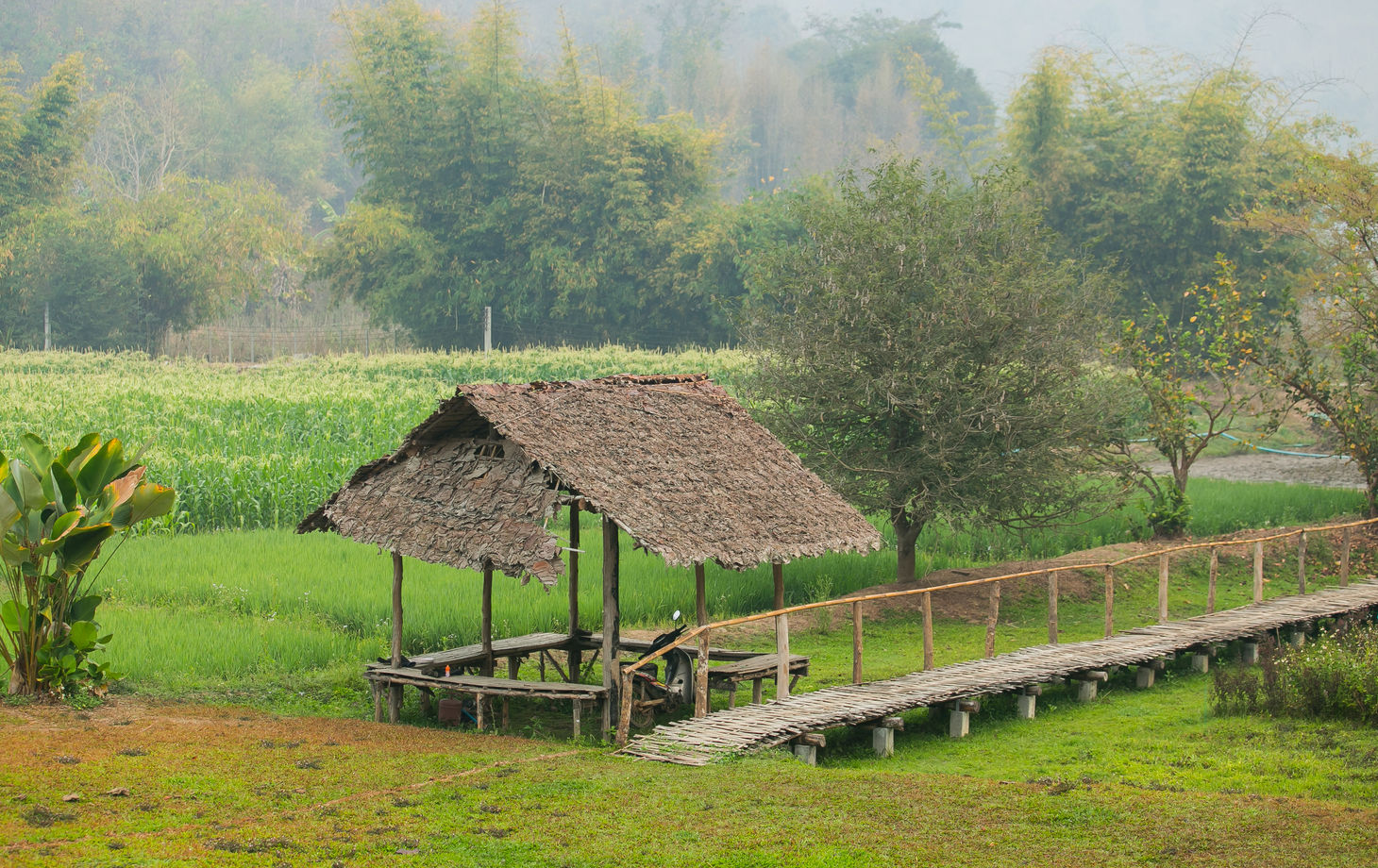 Full Day Cooking Trip with A Northern Hill Tribe